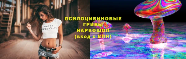 сатива Волоколамск