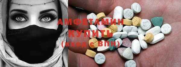 сатива Волоколамск