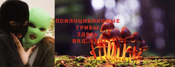 СК Волосово