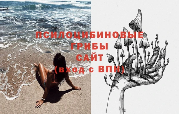 СК Волосово