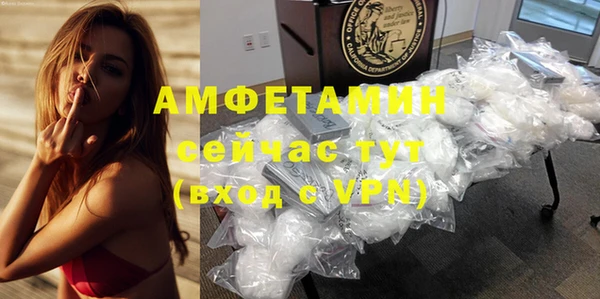 сатива Волоколамск
