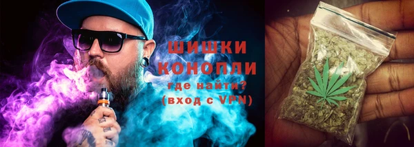 сатива Волоколамск