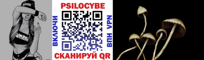 Галлюциногенные грибы прущие грибы  Купить закладки  Кохма 